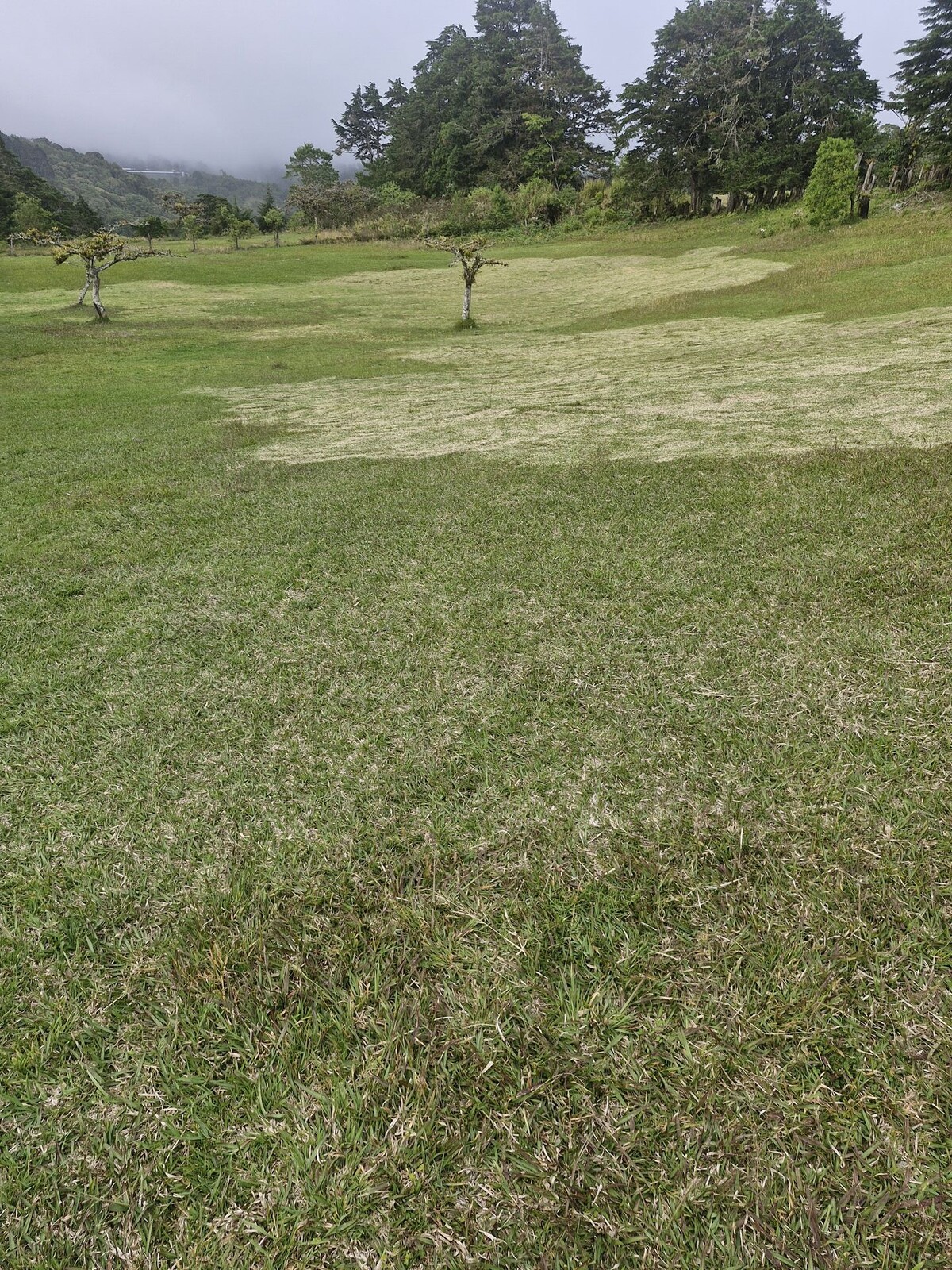 Terreno de Casa San Damián