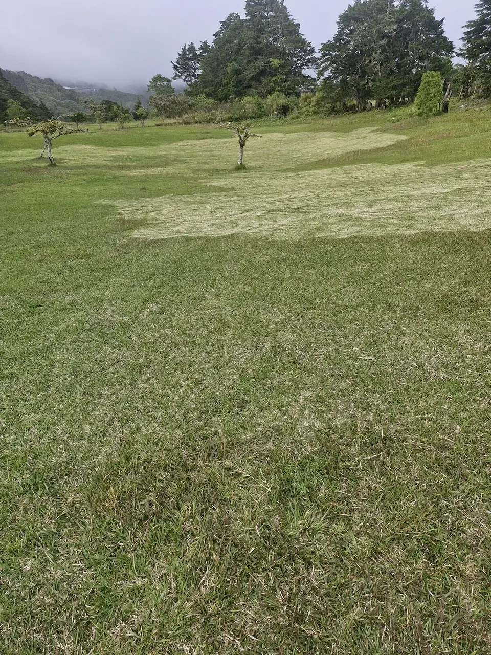 Terreno de Casa San Damián