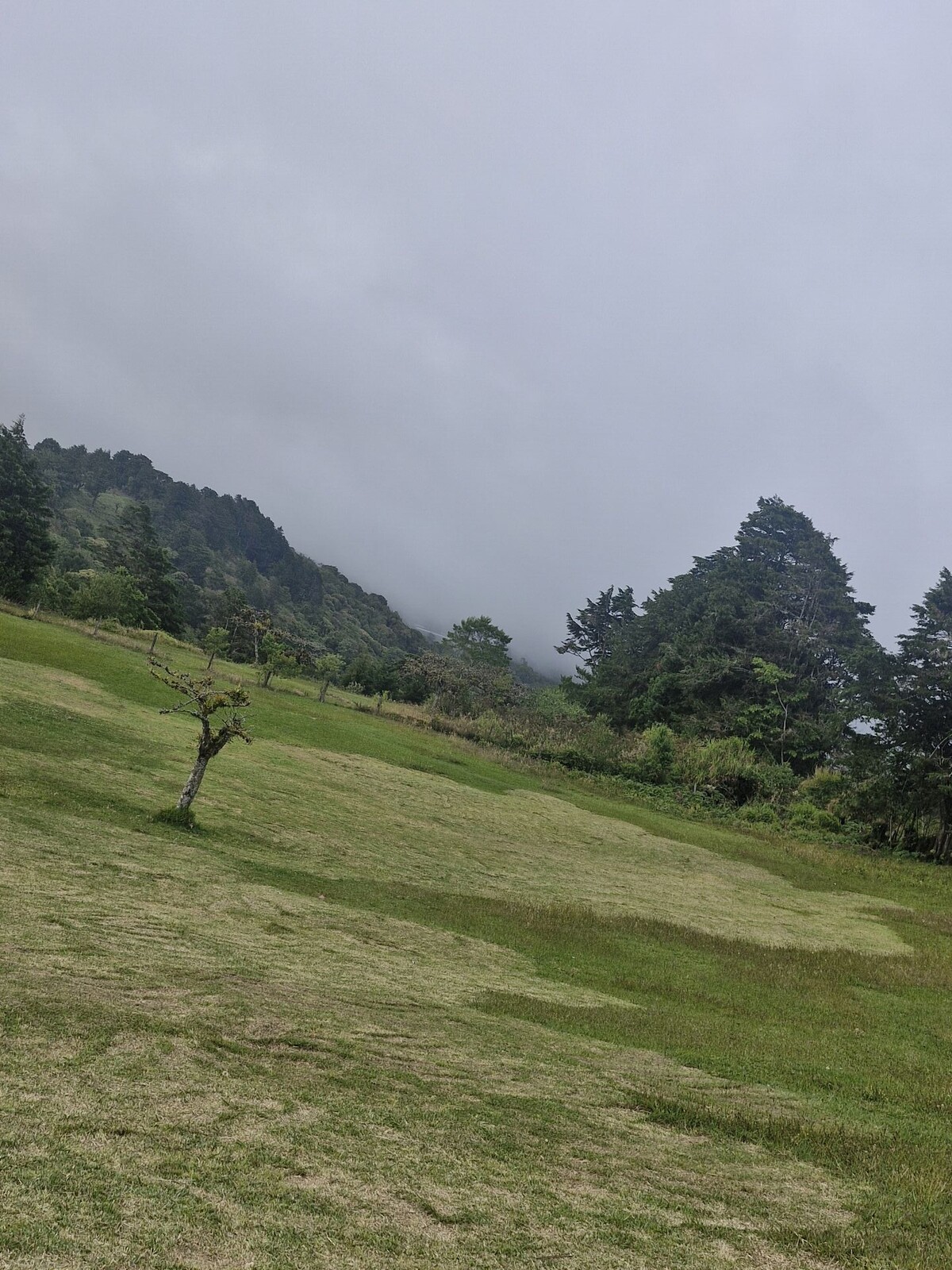 Vista panorámica del terreno