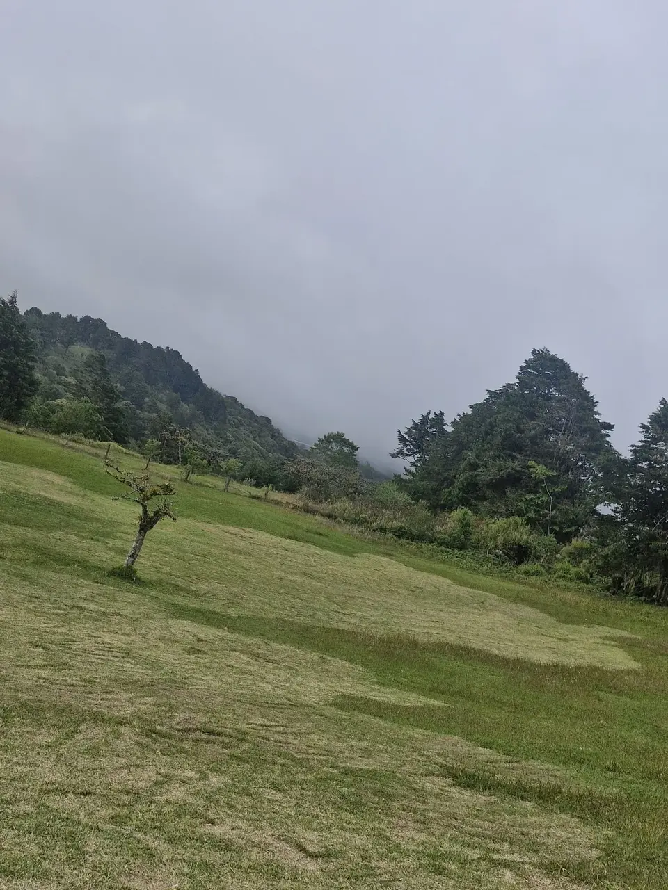Panorámica de la propiedad